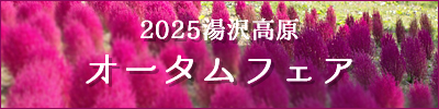 2025湯沢高原オータムフェア